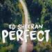 Download mp3 lagu Ed Sheeran - Perfect - BREAKBEAT 2018 REMIX - req:Muhammad Albar 4 share - zLagu.Net