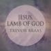 Download lagu Jesus, Lamb Of God (Acoustic)mp3 terbaru di zLagu.Net