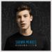 Download mp3 lagu Shawn Mendes album Handwritten - Kid In Love