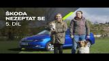 Download Video ŠKODA Nezeptat se: Jak cestovat se psy v autě? Terbaik