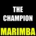 Download mp3 The Champion Marimba Ringtone - Carrie Underwood Ft. Ludacris music Terbaru - zLagu.Net