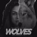 Download lagu mp3 Terbaru Selena Gomez Ft. Marshmellow - Wolves (Cover by Bhavna Kakkar)