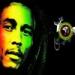 Download mp3 Terbaru Bob Marley - Iron Lion Zion (faXcooL RMX) gratis di zLagu.Net