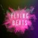 Download music Flying Beats - Panjat Sosial Cover Roy Ricardo ft. Lula Lahfah & Gaga Muhammad mp3 - zLagu.Net