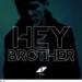 Download music Avicii - hey brother (original) gratis
