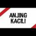 Download mp3 lagu RAHMAT'TAHALU - ADA ANJING KACILI [G.R.C'REV] 2K18 FULLNEW!!! VOL'1.mp3