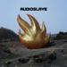 Download lagu Audioslave - The Last Remaining Lightmp3 terbaru