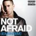 Download music Eminem - Not Afraid [Piano Cover] terbaik