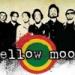 MELLOW MOOD - Dance inna Babylon Musik Mp3