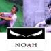 NOAH ( DAVA )- 2DSD Music Mp3