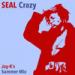 Lagu SEAL - Crazy (Jay-K's Summer Mix) mp3 baru