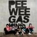 Download lagu Pee Wee Gaskins - Detik Tak Bergerak terbaru