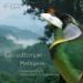 Download lagu 'Cloudforest - Malaysia' - Album sample terbaik