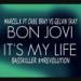 Lagu Marcel.K Ft Cabe Bray Vs Gelvin Skay - It's My Life [Basskiller Revolution] =89= gratis