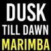 Download lagu Dusk Till Dawn Marimba Ringtone - Zayn Malik ft. Sia terbaru 2021 di zLagu.Net