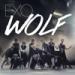 Download Gudang lagu mp3 EXO 늑대와 미녀 (Wolf) Music Video (Korean Ver)