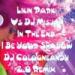 Download Likin Park Vs DJ Misjah - In The End I Be Your Shadow(Wundervolle Welt Full 2point0 Rework).MP3 gratis