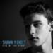 Download Chris - Life Of Party (Shawn Mendes) lagu mp3