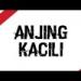 Download lagu terbaru Anjing Kecili Melody [ DisplayDeejay & Avvid Mixtape ] - REBBOT mp3 Free
