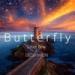 Download lagu Sober Bear & Dedd Viron - Butterfly mp3 Gratis