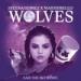 Lagu mp3 Selena Gomez X Marshmello - Wolves (Said The Sky Remix) terbaru