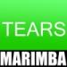 Download mp3 Tears (Marimba Remix of Clean Bandit Feat. Louisa Johnson)
