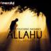 Lagu Allahu Nasheed By Labbayk terbaru 2021