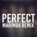 Download Perfect Marimba Remix Ringtone-One Direction mp3 baru