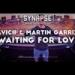 Download mp3 Avici feat. Martin Garrix - Waiting for love (Beryllium Sounds Remix) - zLagu.Net