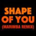 Free Download lagu terbaru Shape Of You (Marimba Remix) *FREE DOWNLOAD*