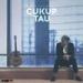 Download lagu Rizky Fabian - Cukup Taump3 terbaru di zLagu.Net