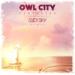 Download lagu mp3 Owl City - Fireflies (Said The Sky Remix) terbaru di zLagu.Net