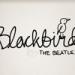 Download mp3 Runt - Blackbird (The Beatles) cover gratis