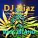 Download musik DJ Diaz - Bass Island gratis - zLagu.Net