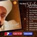 Download Habib Syech Bin Abdul Qodir Assegaf - The Best Shalawat mp3