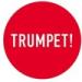 Download lagu gratis TERUMPET mp3 Terbaru