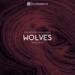 Download mp3 Selena Gomes, Marshmello - Wolves (Aeden Remix)*BUY = FREE DOWNLOAD* terbaru