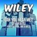 Download lagu Can You Hear Me- Wiley ft Skepta & JME & Ms. D (Gokhan Ekinci Bootleg) baru di zLagu.Net