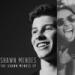 Download mp3 The Weight (Audio) - Shawn Mendes (Cover By Camille) baru