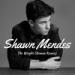 Download Musik Mp3 Shawn Mendes - The Weight (Armon Remix) terbaik Gratis