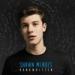 Download lagu gratis Shawn Mendes - Stitches(Performed Live for the First Time) terbaru