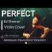 Download lagu Terbaik Perfect - Ed Sheeran - [ Arnesano Francesco Violin cover ] mp3