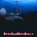 Download mp3 lagu Naruto Shippuden Op 8 Diver gratis