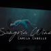 Download mp3 lagu Camila Cabello//Sangria Wine gratis di zLagu.Net