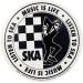 Download lagu mp3 Ska 86 - Stel Kendo (cover) Nella Kharisma gratis