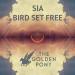 Download lagu gratis Sia-Bird Set Free (The Golden Pony Remix) mp3