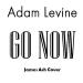 Download Adam Levine - Go Now(Sing Street OST)James Ash Cover mp3