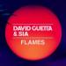 Download lagu David Guetta, Sia - Flames ( Edit By Fran Javi Landa ) baru di zLagu.Net