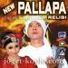 Download mp3 Terbaru New pallapa religi mahalul qiyam-Wiwik sagita - zLagu.Net
