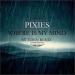 Gudang lagu Pixies - Where is my Mind (Mt Eden Remix) mp3